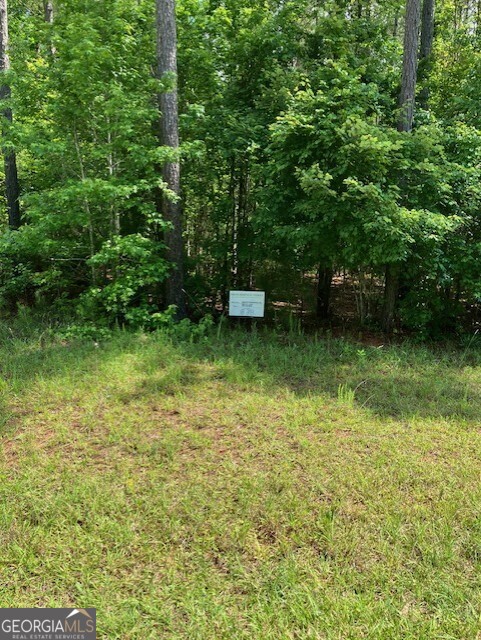 0 Mariners Way Lincolnton, GA 30817 - Photo 3 of 4 a backyard of a house with lots of green space