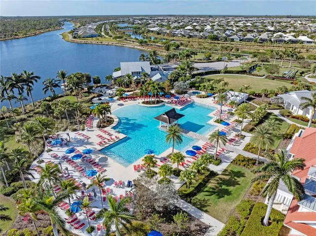 view of a lot of flowers