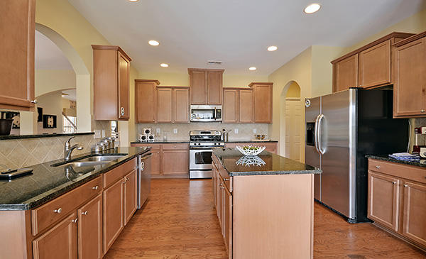305 Bracken Fern Road Moncks Corner, SC 29461 - Photo 4 of 20 kitchen