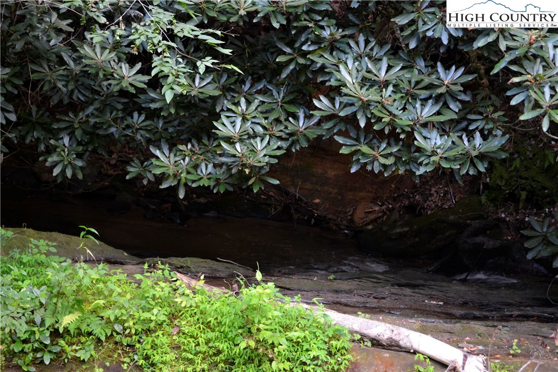 3982 Smithey Road Crumpler, NC 28617 - Photo 25 of 32 Gallery Image 25