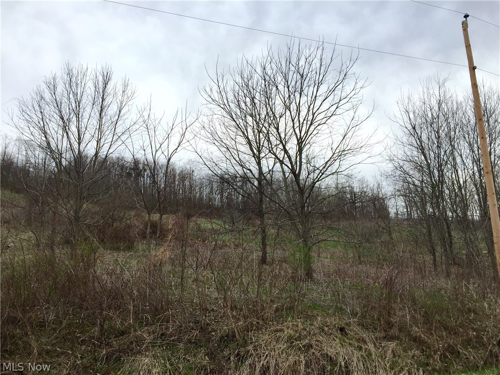 2 Canal Road Dover, OH 44622 - Photo 4 of 9 more views