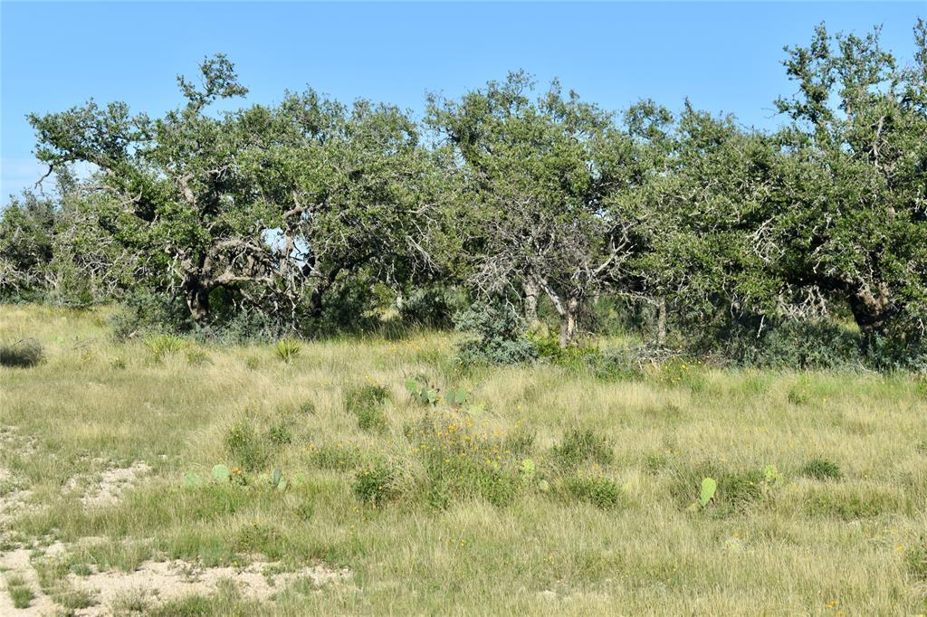 1 Cave Wells Ranch Fort McKavett, TX 76841 - Photo 11 of 21 a view of a lush green space