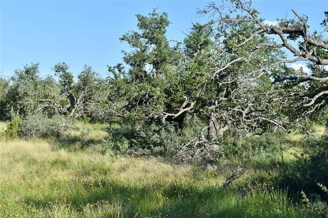 a view of a lush green field