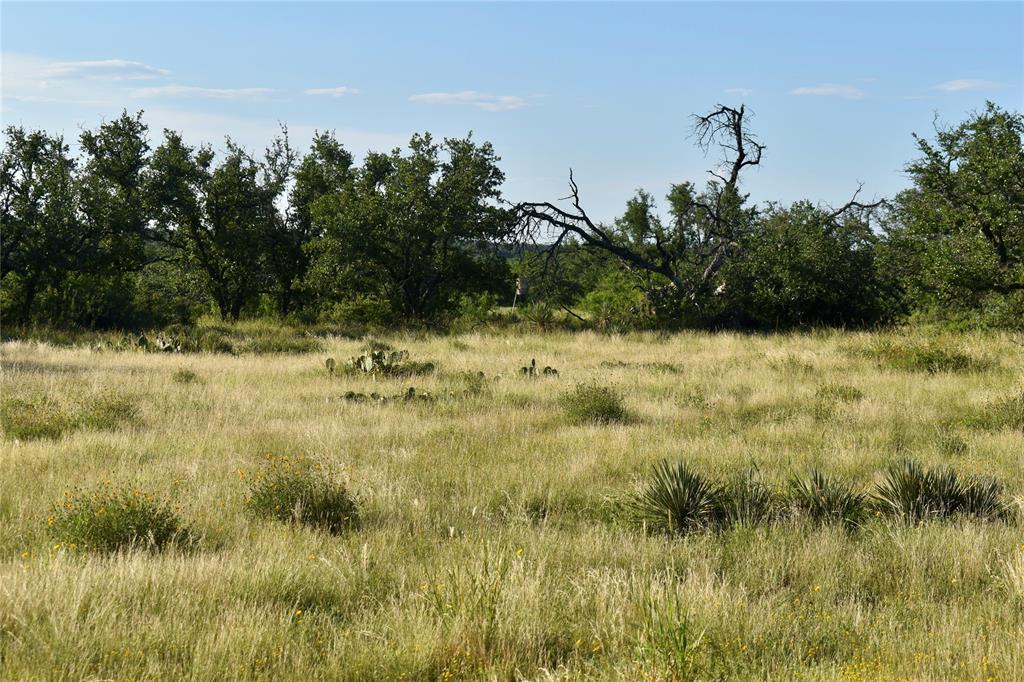 1 Cave Wells Ranch Fort McKavett, TX 76841 - Photo 15 of 21 a view of a lake