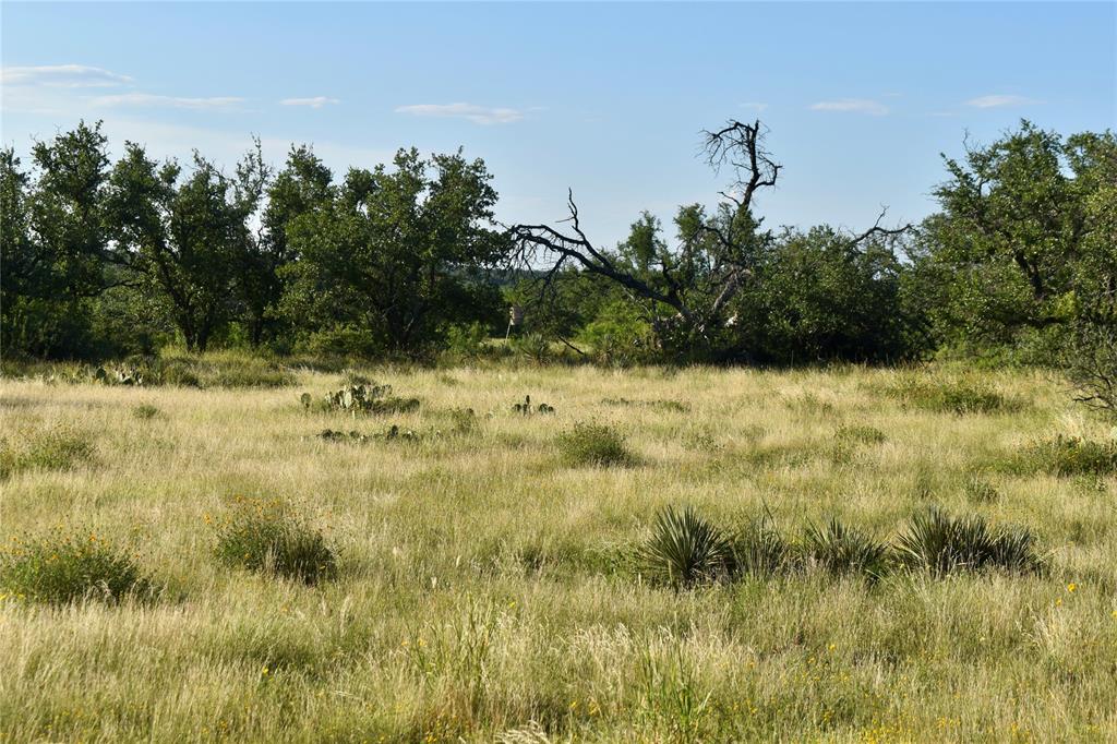 1 Cave Wells Ranch Fort McKavett, TX 76841 - Photo 17 of 21