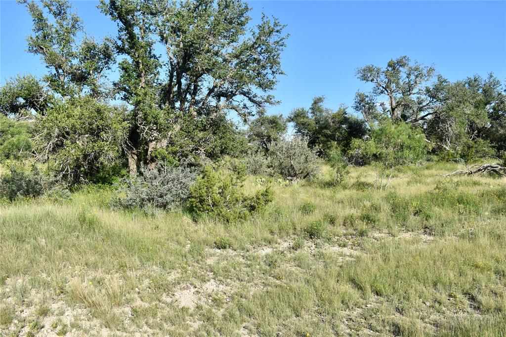 1 Cave Wells Ranch Fort McKavett, TX 76841 - Photo 18 of 21 a view of a lush green forest next to a house