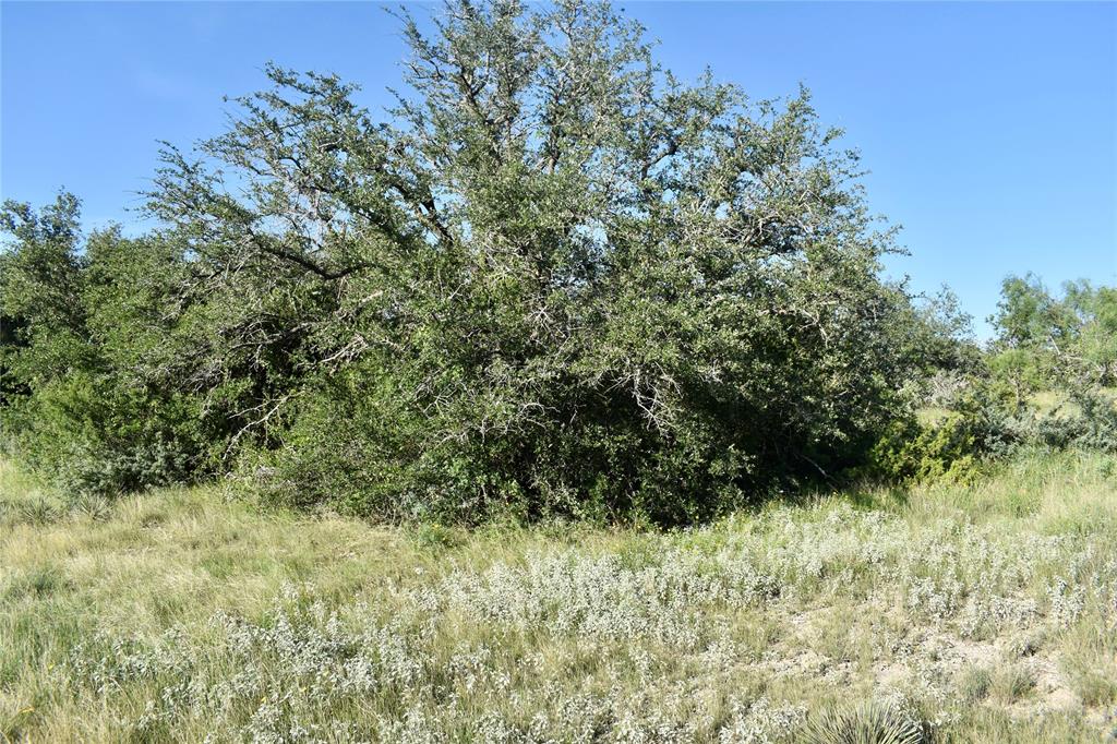 1 Cave Wells Ranch Fort McKavett, TX 76841 - Photo 19 of 21 a view of a lush green space