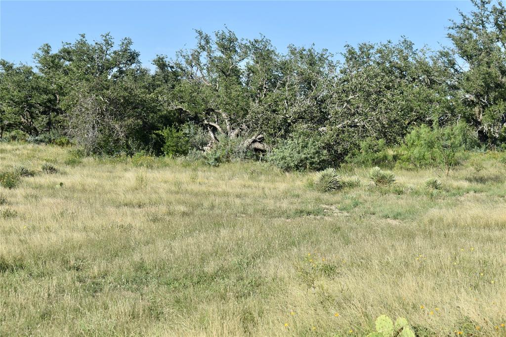 1 Cave Wells Ranch Fort McKavett, TX 76841 - Photo 20 of 21 a view of a yard with trees