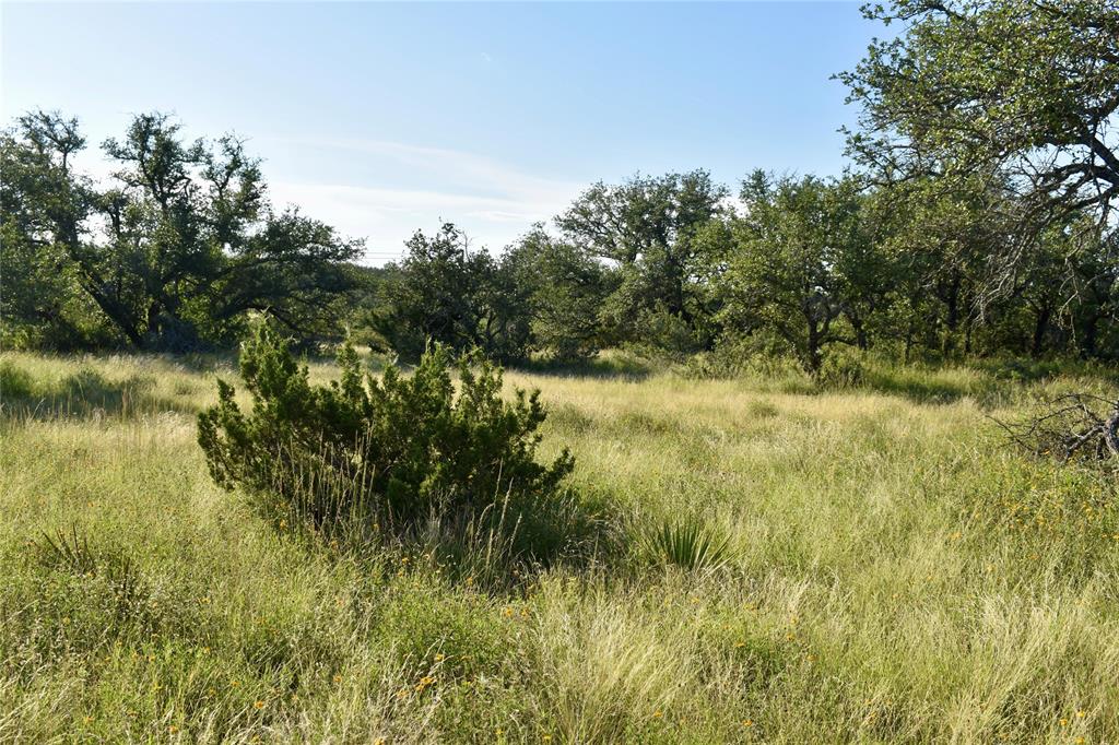 1 Cave Wells Ranch Fort McKavett, TX 76841 - Photo 5 of 21 a view of a lake view with a garden