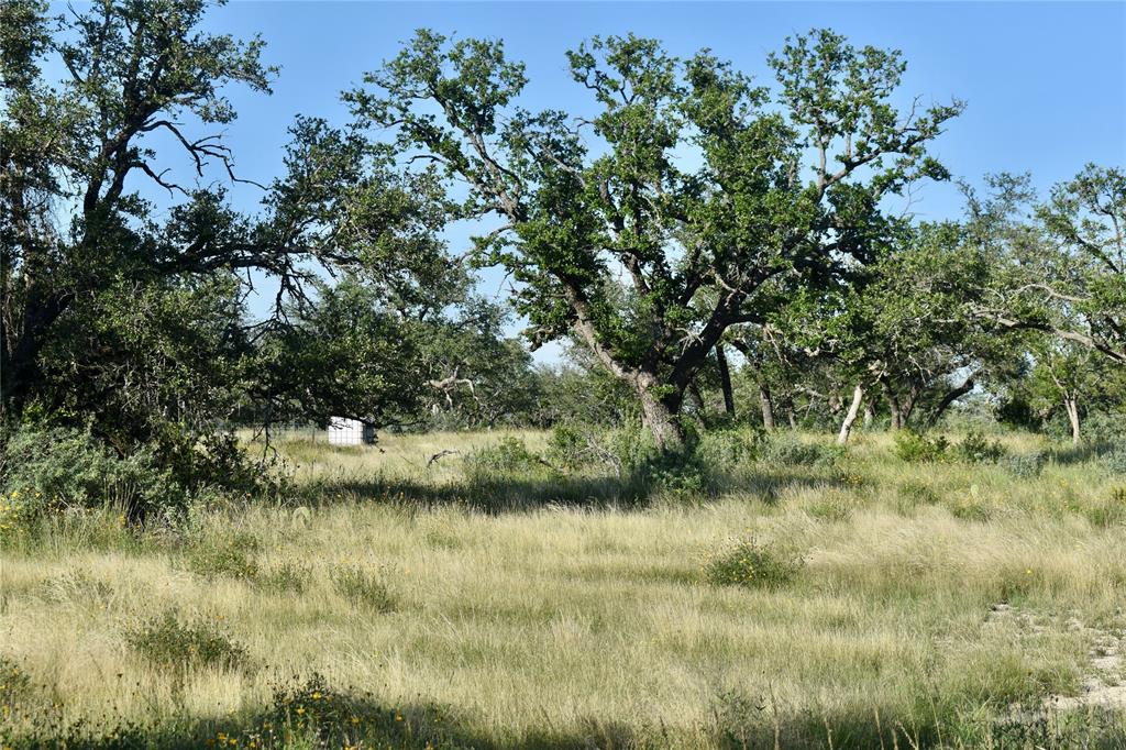 1 Cave Wells Ranch Fort McKavett, TX 76841 - Photo 8 of 21 a view of a lake with a tree