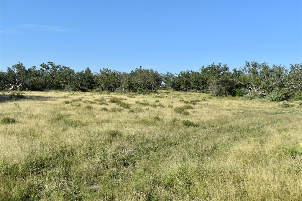 1 Cave Wells Ranch Fort McKavett, TX 76841 - Photo 9 of 21 a view of a field with an ocean