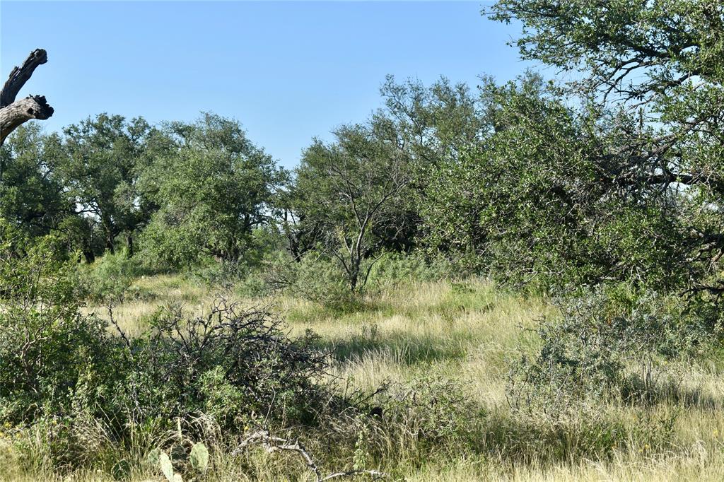 1 Cave Wells Ranch Fort McKavett, TX 76841 - Photo 10 of 21 a view of a lush green forest