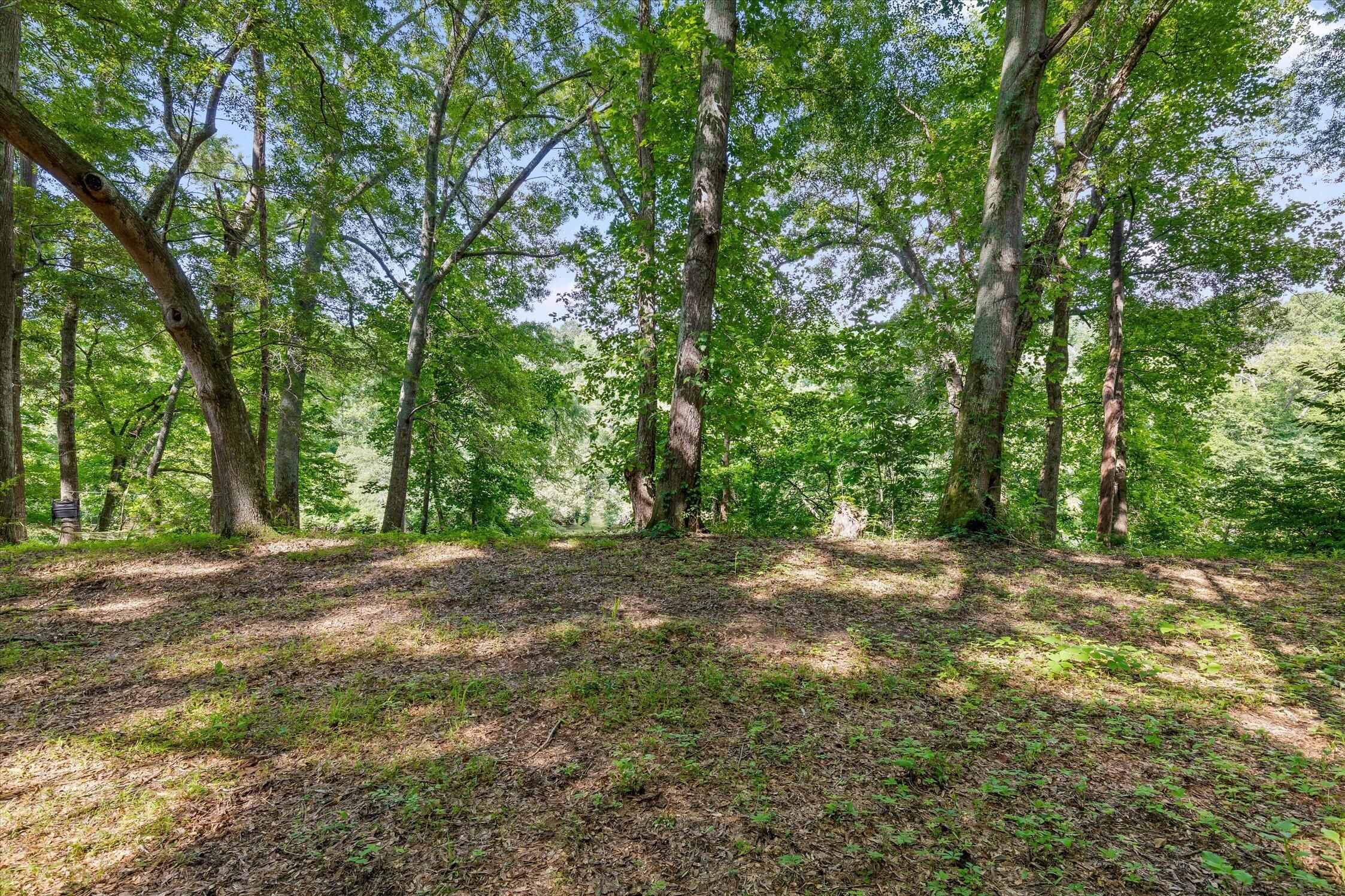 0 Hildabrand Road Ocoee, TN 37361 - Photo 27 of 46 15-Old Federal Rd-8