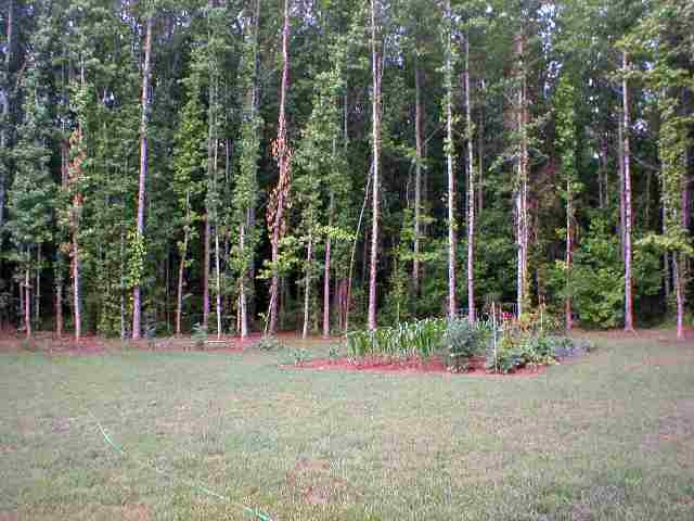 329 West Church Road Easley, SC 29642 - Photo 8 of 9