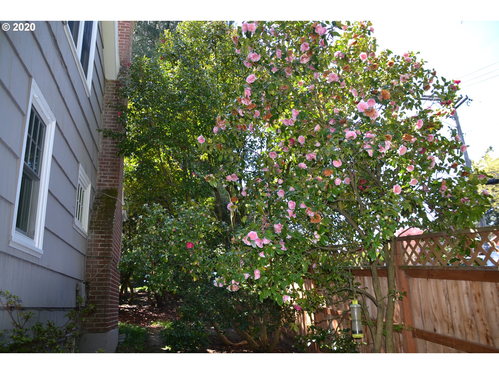 3451 Southwest Canby Street Portland, OR 97219 - Photo 32 of 32 Gallery Image 32