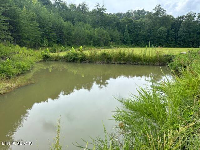 412 Page School Road Pineville, KY 40977 - Photo 11 of 49 Pond