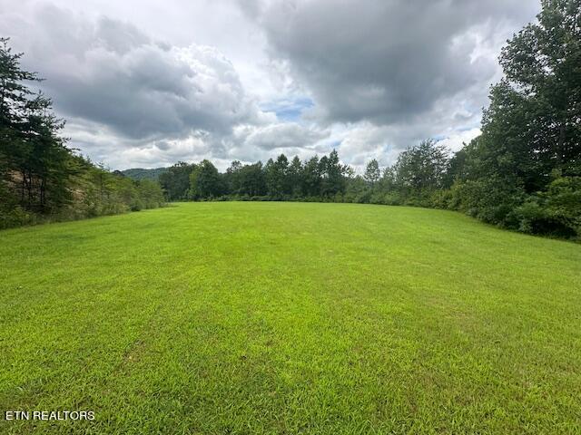 412 Page School Road Pineville, KY 40977 - Photo 14 of 49 fields