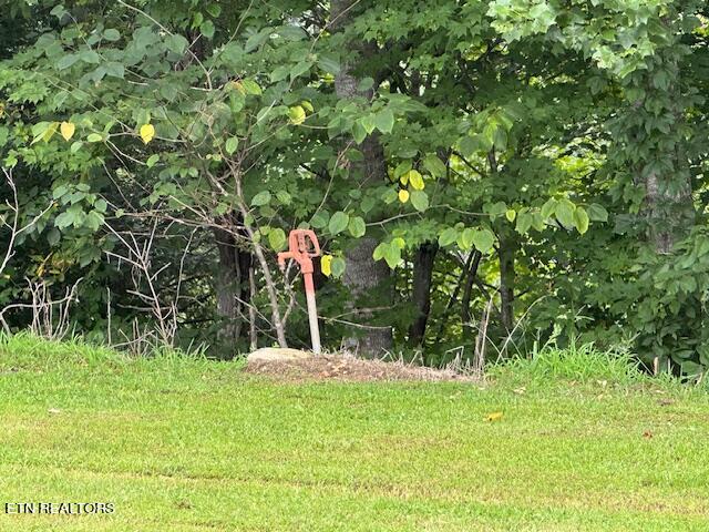 412 Page School Road Pineville, KY 40977 - Photo 15 of 49 1 of 3 spickets on property