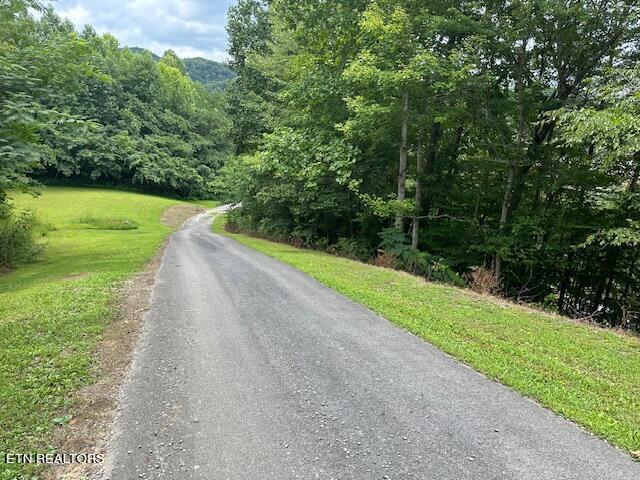 412 Page School Road Pineville, KY 40977 - Photo 17 of 49 private driveway
