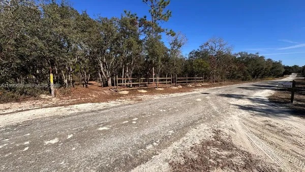 a view of dirt yard with a large tree