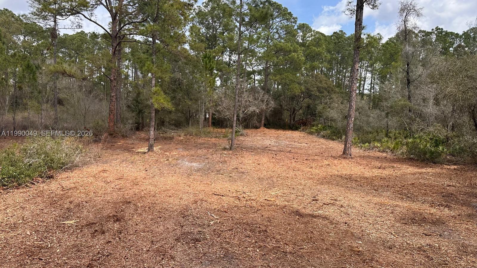 34349 Manuel Street Webster, FL 33597 - Photo 3 of 5