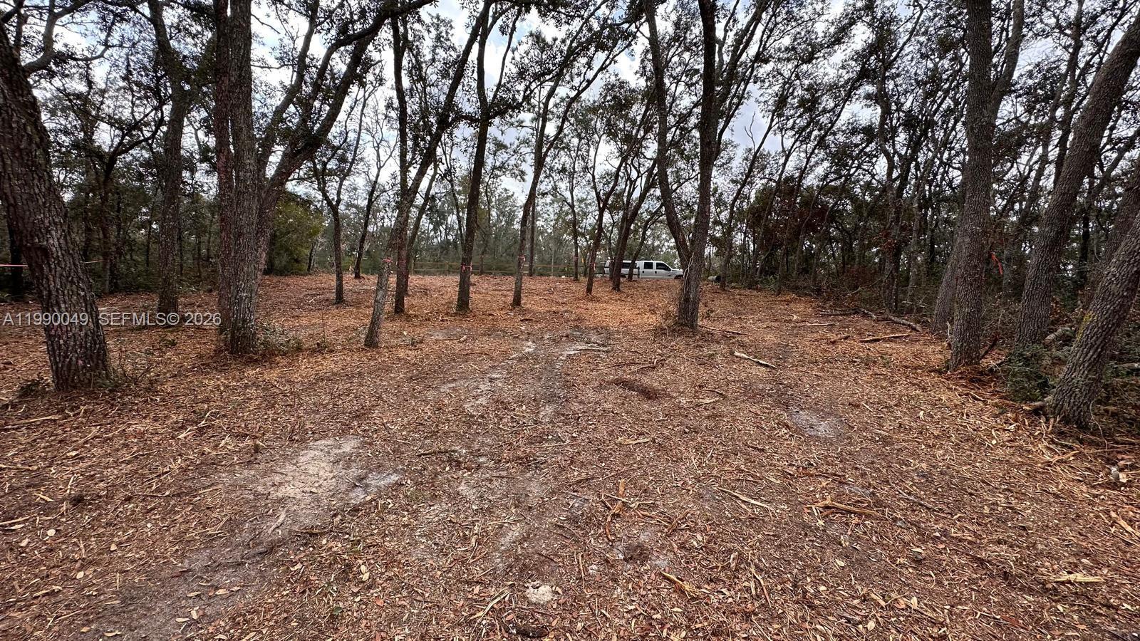 34349 Manuel Street Webster, FL 33597 - Photo 4 of 5