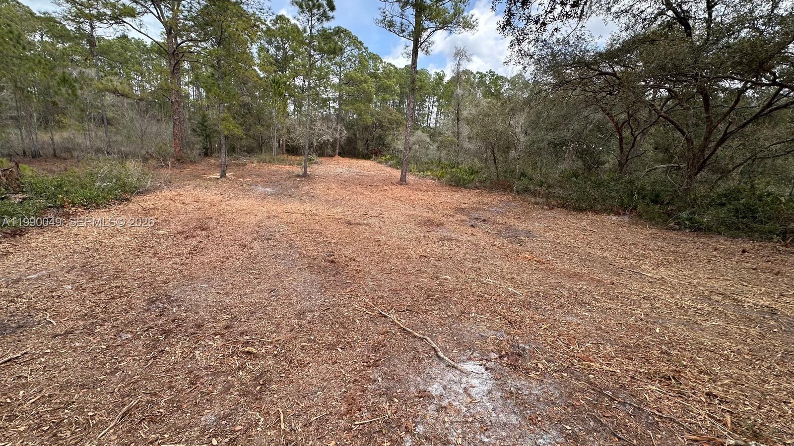 34349 Manuel Street Webster, FL 33597 - Photo 5 of 5