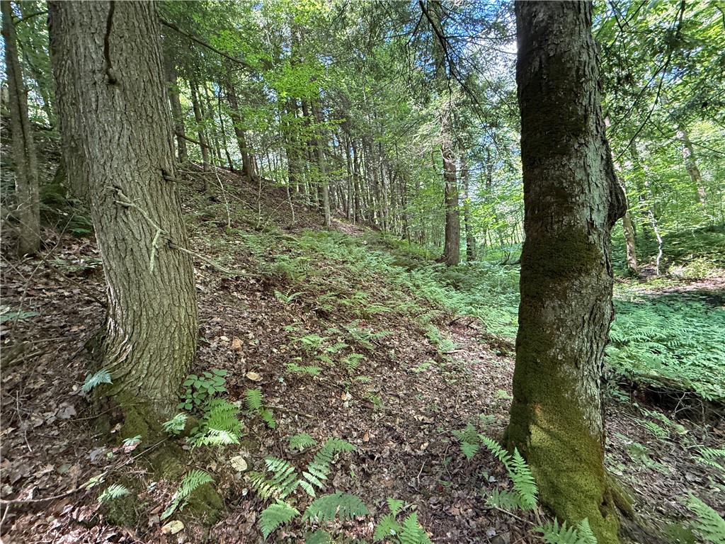 V/l Beaver Creek Road Redfield, NY 13437 - Photo 9 of 35 Gallery Image 9
