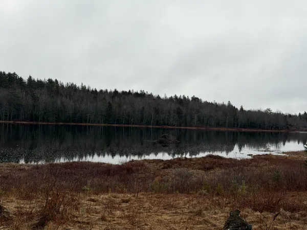 $83,000 | 0 Guzzle Road, Gouldsboro, ME 04607