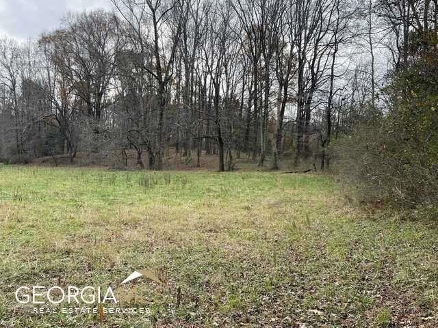 960 Walnut Road Hoschton, GA 30548 - Photo 4 of 5