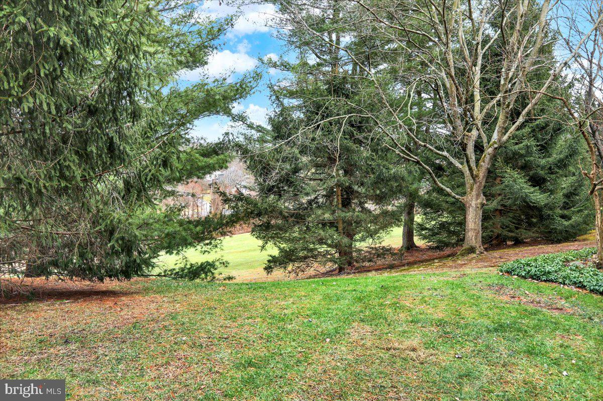 10 D Fairway Road Reading, PA 19607 - Photo 12 of 12 a view of a field with a tree