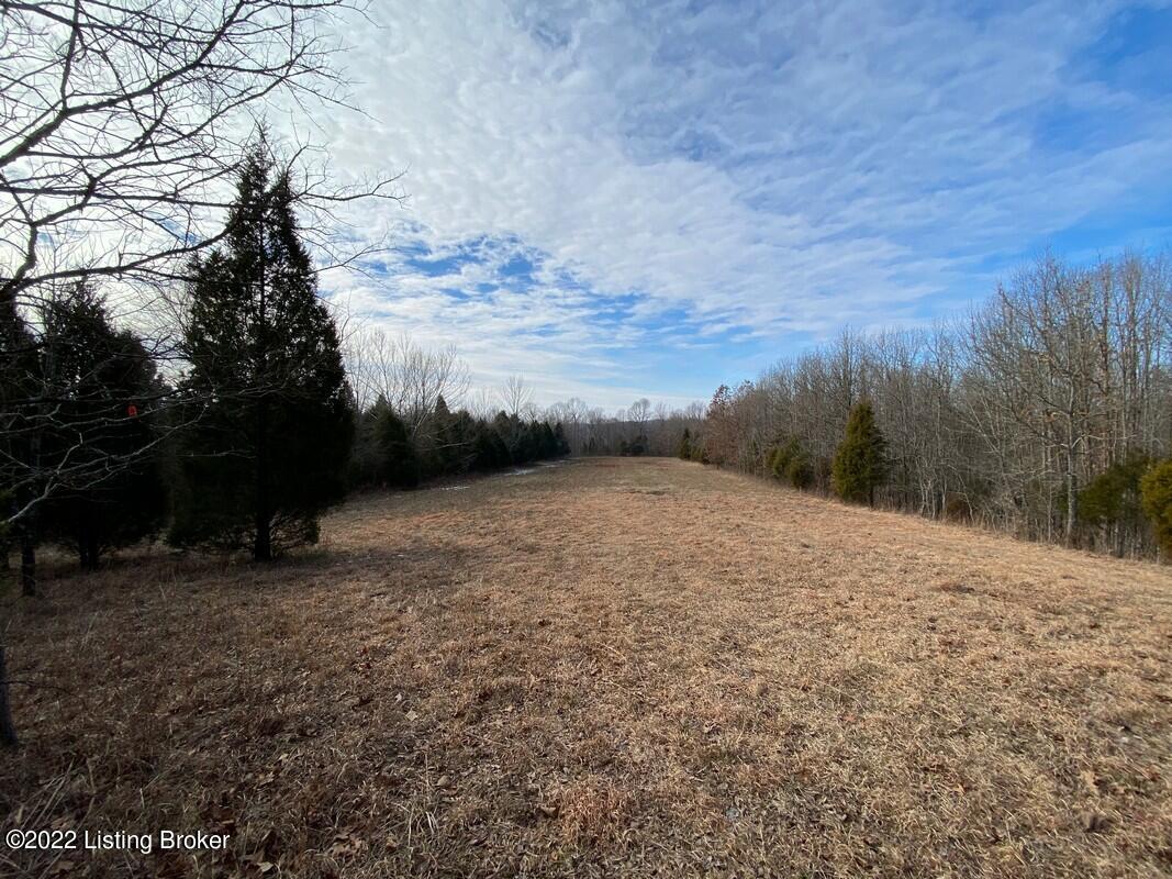 1277 Junction Road Falls Of Rough, KY 40119 - Photo 41 of 46 1277 Junction Rd35