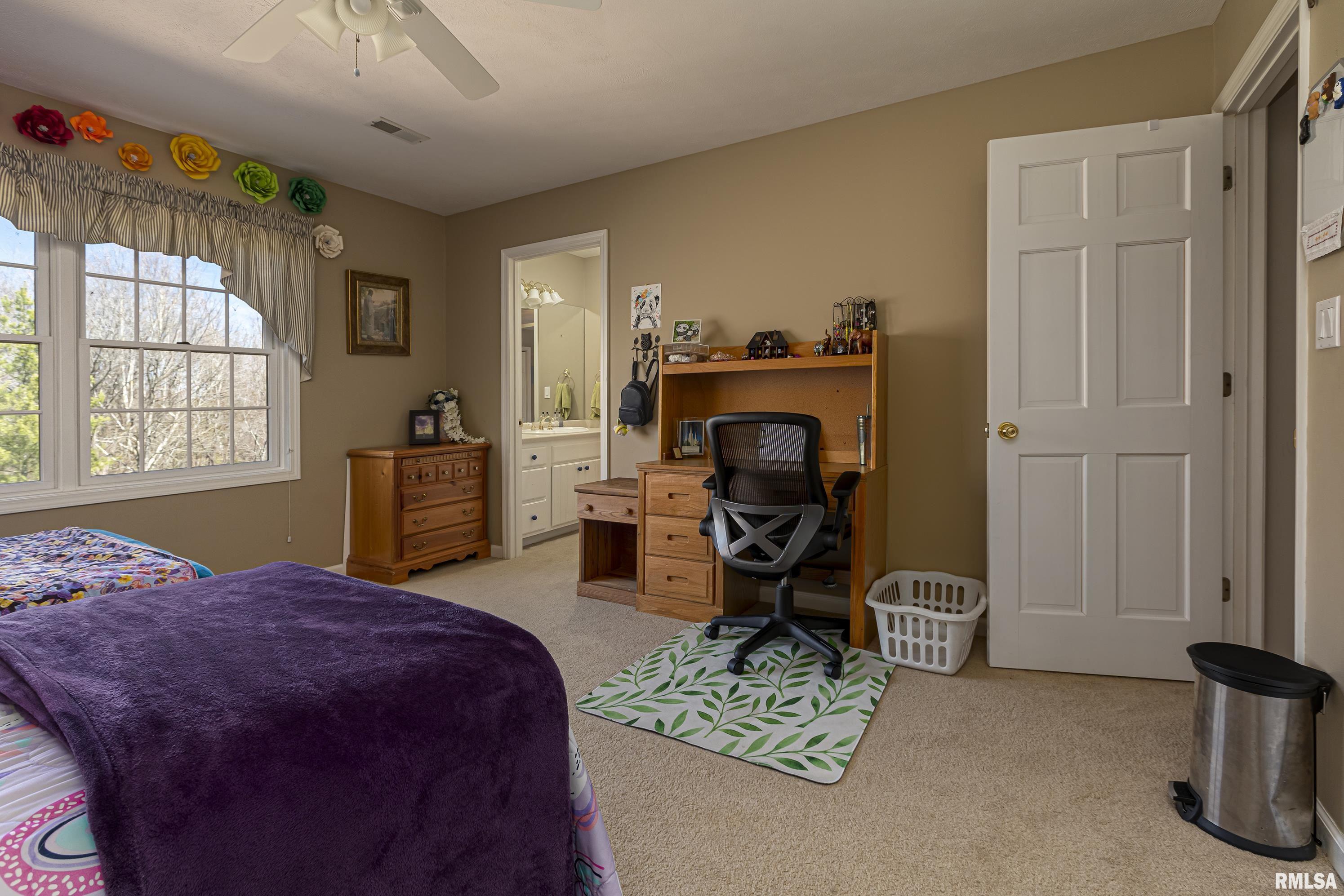 1933 Boskydell Road Carbondale, IL 62902 - Photo 42 of 57
