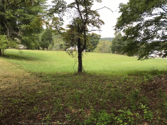 0 Indian Gap Road Andersonville, TN 37705 - Photo 3 of 15 Gallery Image 3