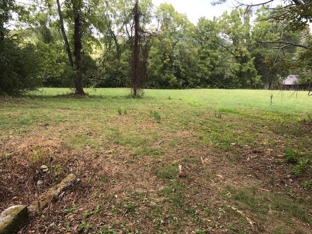 0 Indian Gap Road Andersonville, TN 37705 - Photo 4 of 15 Gallery Image 4