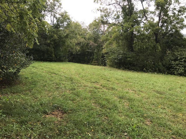 0 Indian Gap Road Andersonville, TN 37705 - Photo 5 of 15 Gallery Image 5