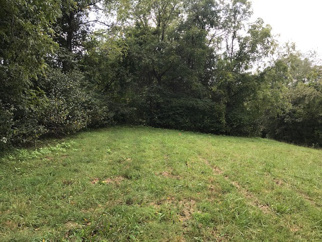 0 Indian Gap Road Andersonville, TN 37705 - Photo 6 of 15 Gallery Image 6