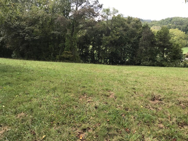 0 Indian Gap Road Andersonville, TN 37705 - Photo 7 of 15 Gallery Image 7