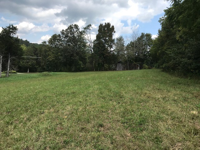 0 Indian Gap Road Andersonville, TN 37705 - Photo 8 of 15 Gallery Image 8