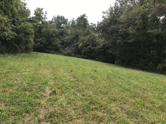 0 Indian Gap Road Andersonville, TN 37705 - Photo 9 of 15 Gallery Image 9