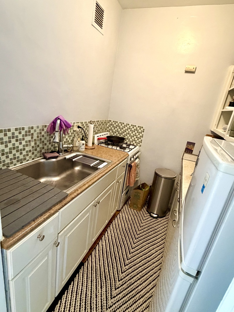 6101 North Sheridan Road, Unit 11E Chicago, IL 60660 - Photo 10 of 11