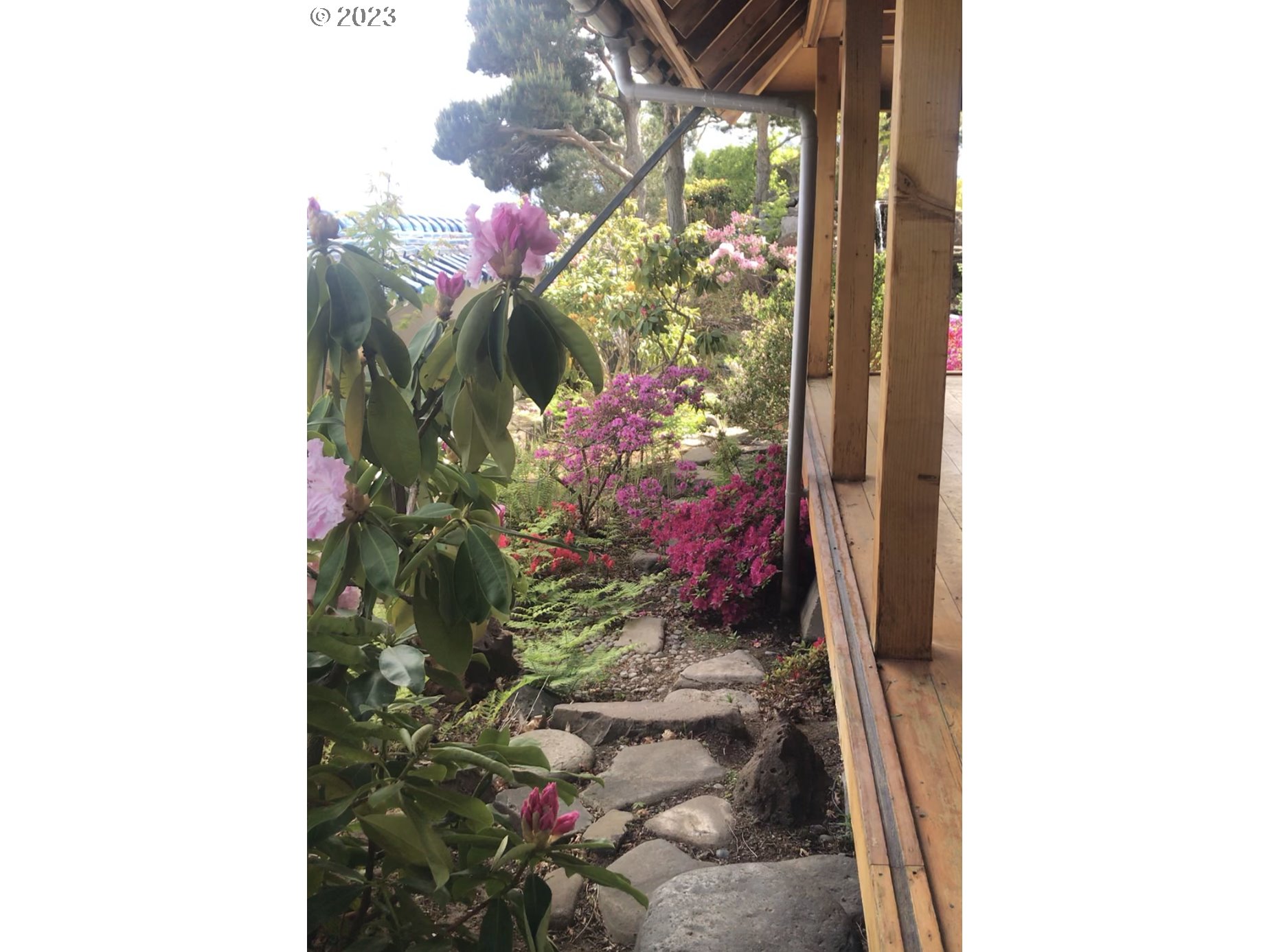 1092 Skyline Drive Pendleton, OR 97801 - Photo 46 of 47 a close up of a flower pot