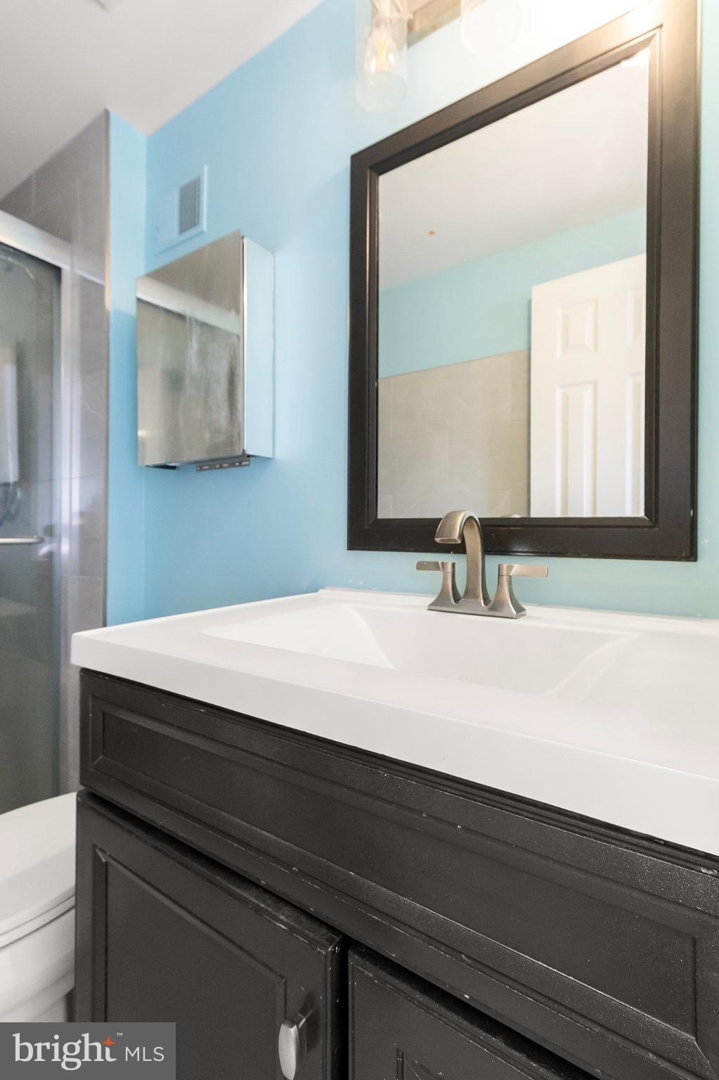 45310 Gable Square Sterling, VA 20164 - Photo 18 of 46 Owner’s Bathroom