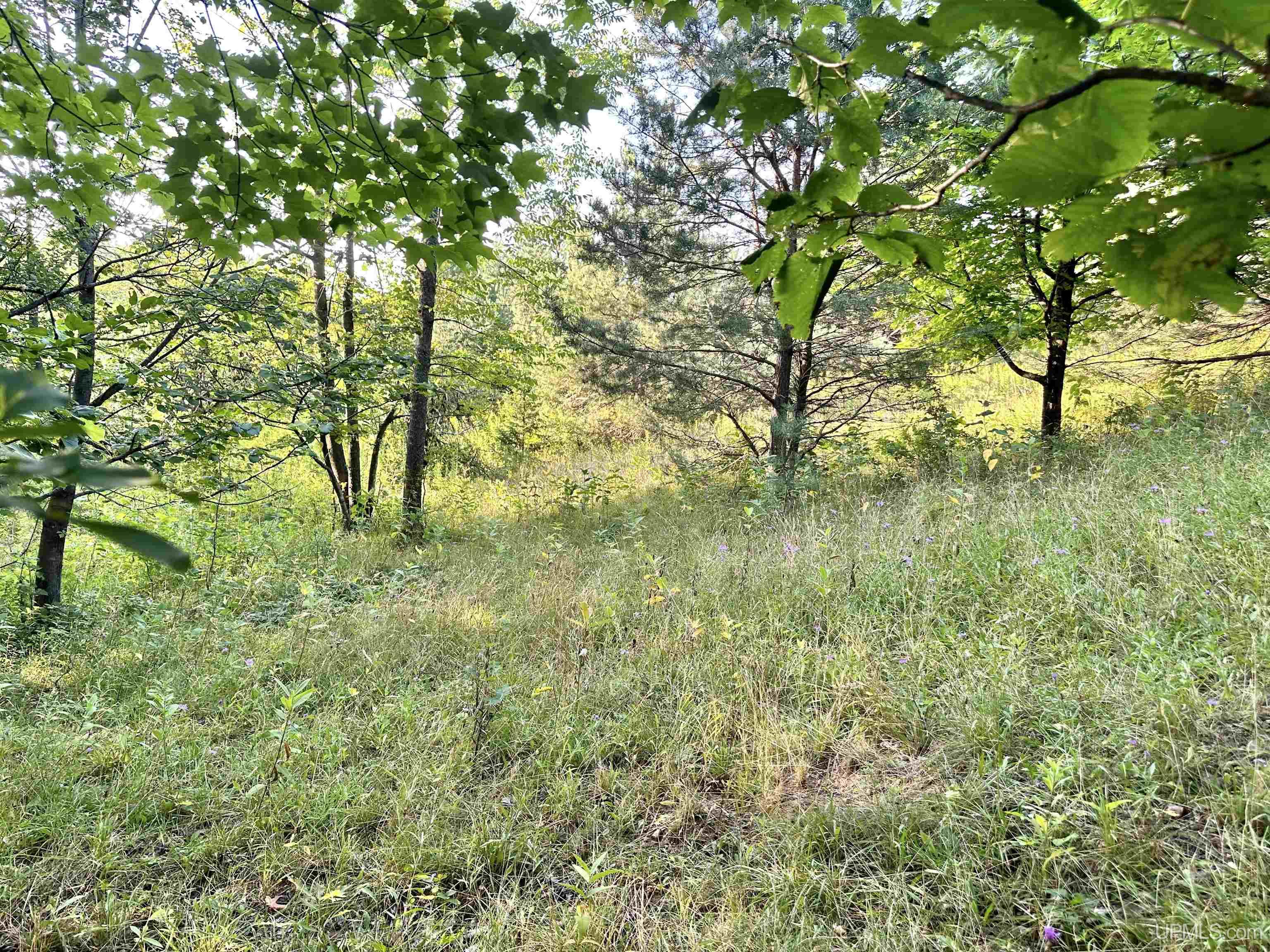 Tbd Crestview Road Ironwood, MI 49938 - Photo 22 of 49