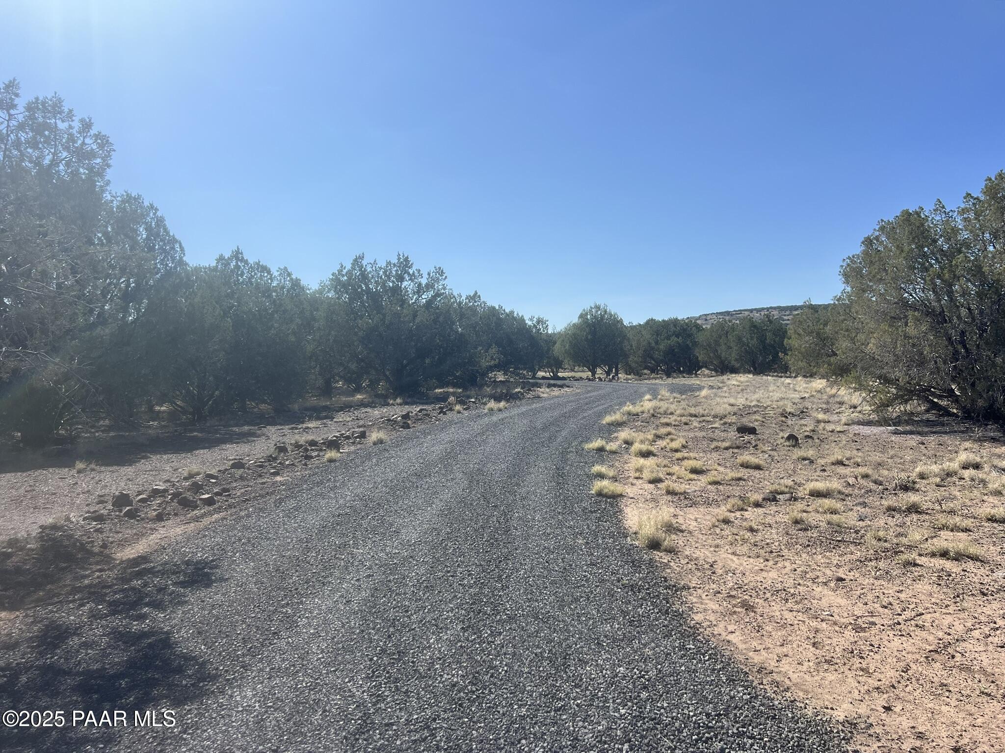 9188 Gleed Station Road Ash Fork, AZ 86320 - Photo 21 of 21 a view of a dry yard with trees