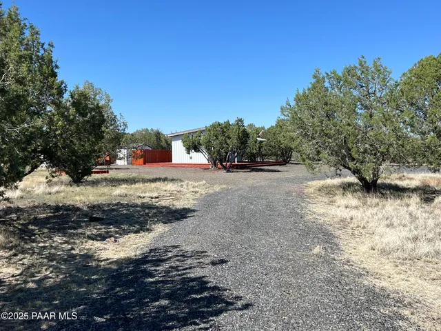 a view of dirt yard with a large tree