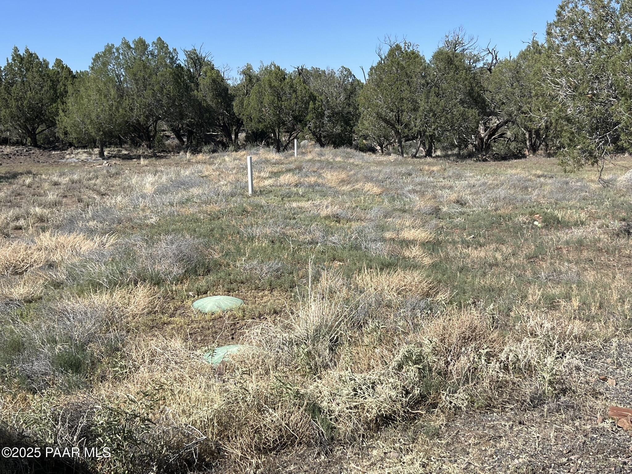 9188 Gleed Station Road Ash Fork, AZ 86320 - Photo 10 of 21 a view of a dry yard with trees in the background