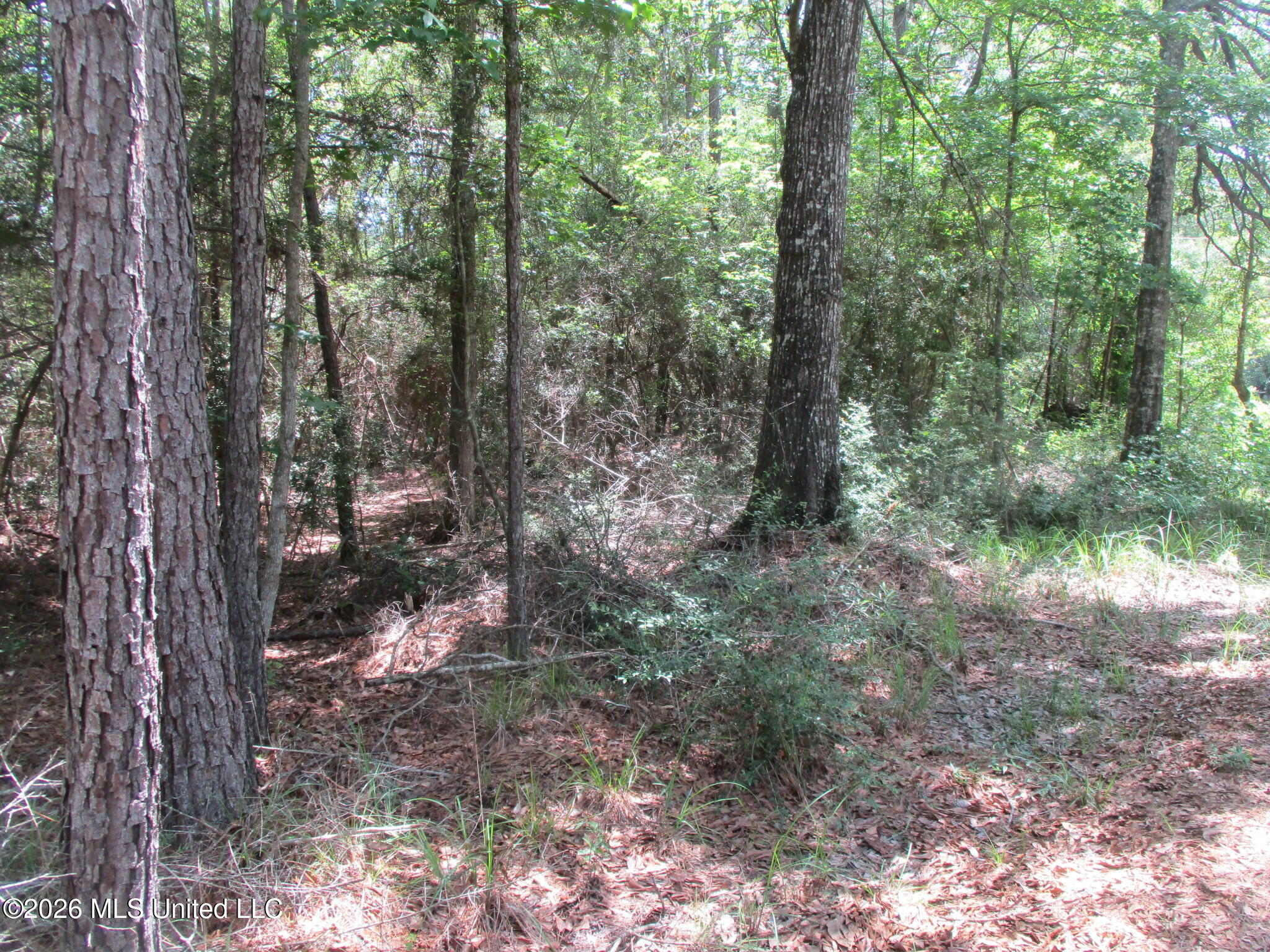 0 North Joe Dyess Road Columbia, MS 39429 - Photo 2 of 2 IMG_0340