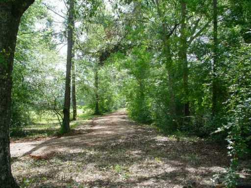 79096 Richards Road Folsom, LA 70437 - Photo 4 of 5 Gallery Image 4