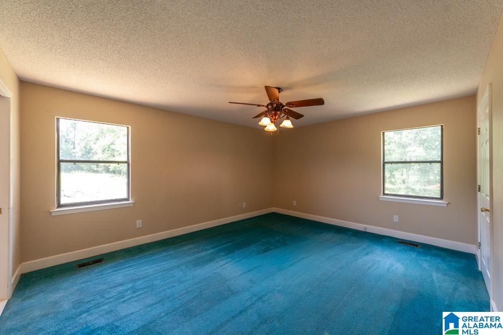 294 Sitton Road Hayden, AL 35079 - Photo 12 of 18